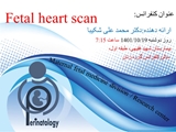 کنفرانس fetal heart scan